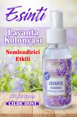 LAVANTA KOLONYASI