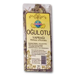 OĞUL OTU (MELİSSA)