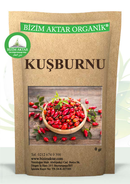 KUŞBURNU