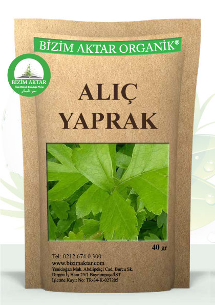 ALIÇ YAPRAK
