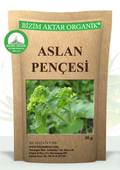 ASLAN PENÇESİ