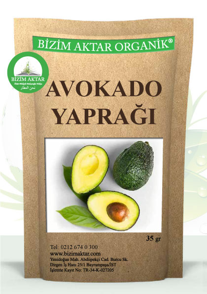 AVOKADO YAPRAĞI