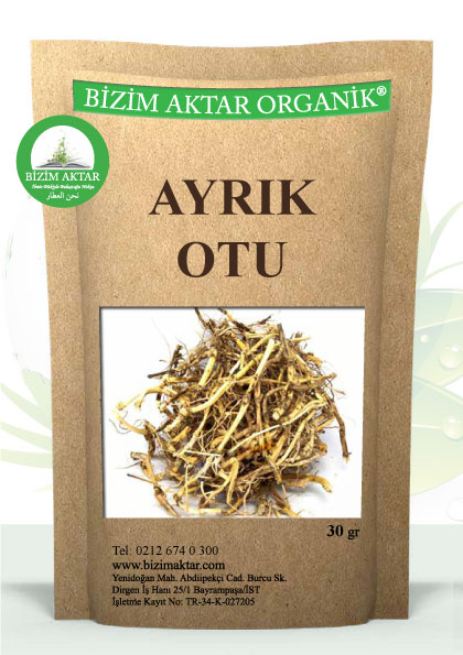 AYRIK OTU