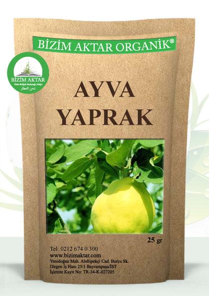 AYVA YAPRAK