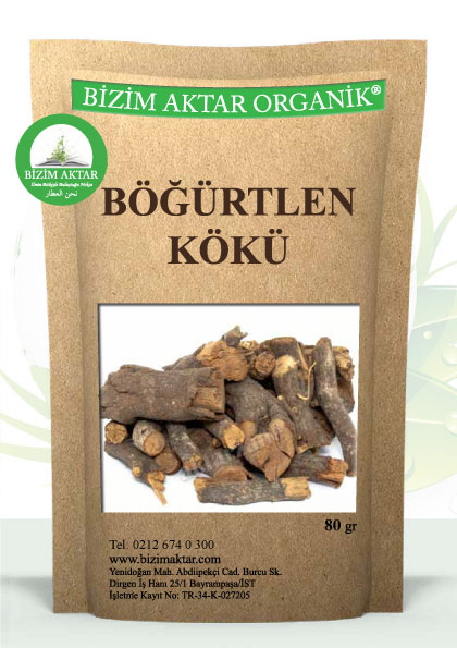 BÖĞÜRTLEN KÖKÜ