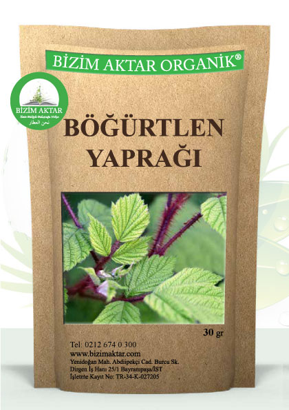 BÖĞÜRTLEN YAPRAĞI