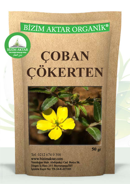 ÇOBAN ÇÖKERTEN