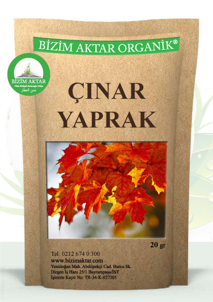 ÇINAR YAPRAK