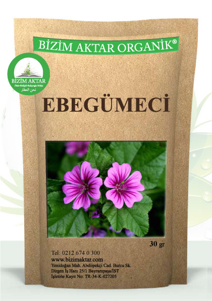 EBEGÜMECİ