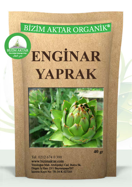 ENGİNAR YAPRAK