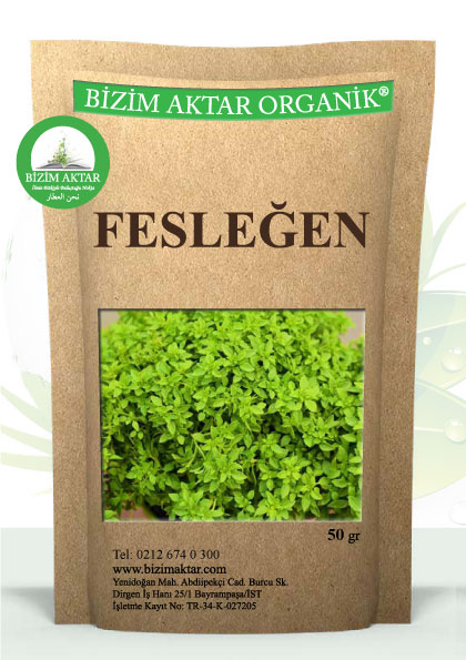 FESLEĞEN