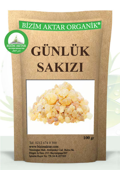 GÜNLÜK SAKIZI