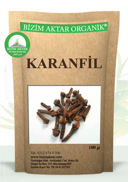 KARANFİL
