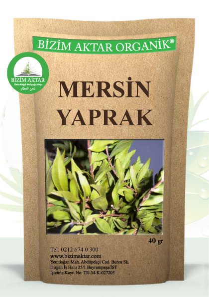 MERSİN YAPRAK