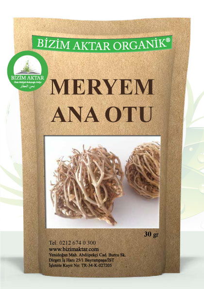 MERYEM ANA OTU