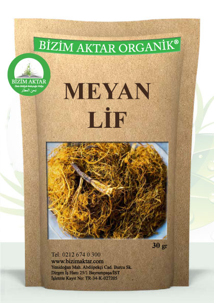 MEYAN LİF