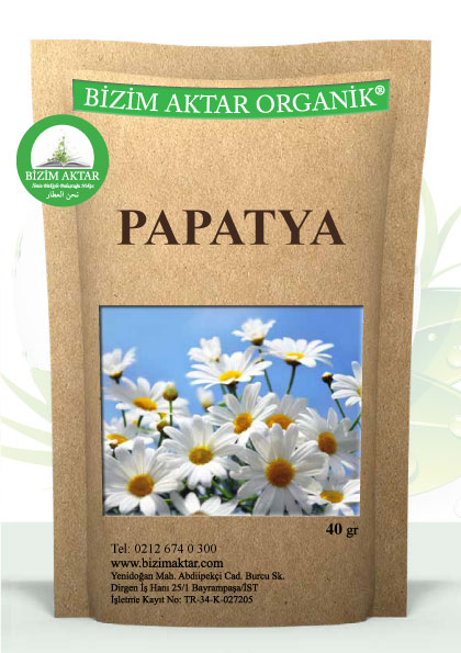 PAPATYA 