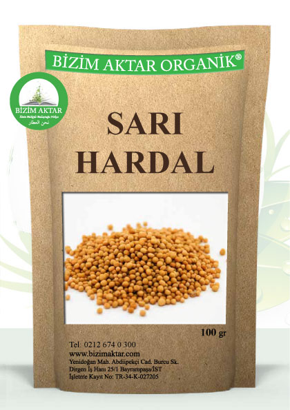 SARI HARDAL 
