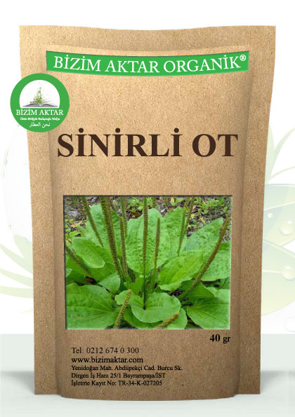SİNİRLİ OTU 
