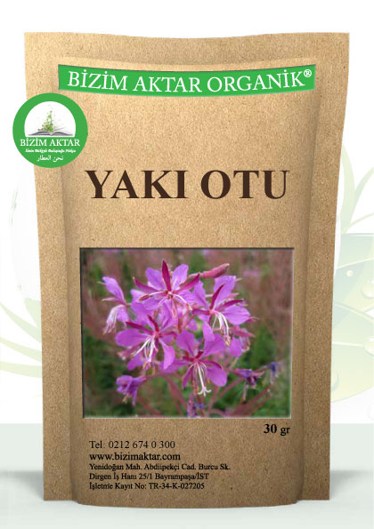 YAKI OTU 