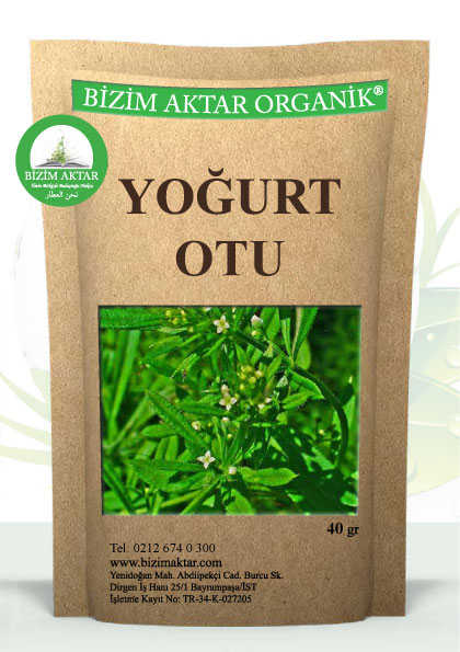 YOĞURT OTU 
