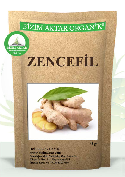 ZENCEFİL KÖKÜ