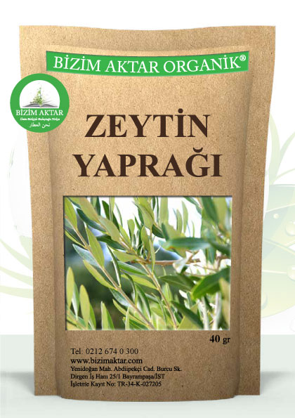 ZEYTİN YAPRAĞI